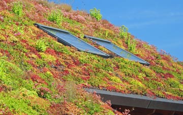 Willington Corner living roof systems
