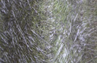 Willington Corner fibreglass roof work